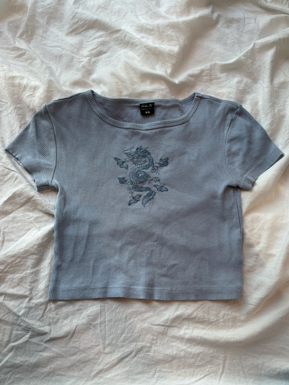 Embroidered Light Blue Ribbed Crop Top